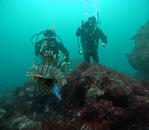 DCIM100GOPROGOPR8551.JPG