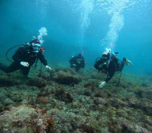DCIM100GOPROGOPR8602.JPG