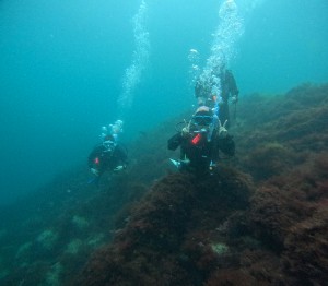 DCIM100GOPROGOPR8631.JPG