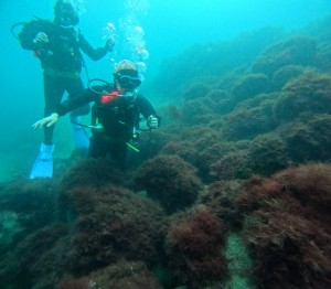 DCIM100GOPROGOPR8633.JPG