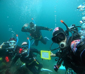 DCIM100GOPROGOPR8658.JPG
