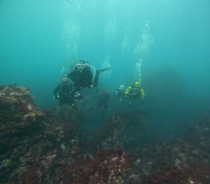 DCIM100GOPROGOPR8682.JPG