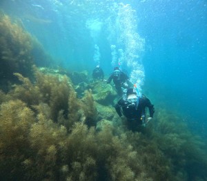 DCIM100GOPROGOPR8727.JPG