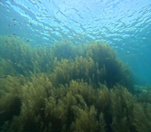 DCIM100GOPROGOPR8728.JPG