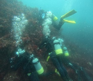 DCIM100GOPROGOPR8860.JPG
