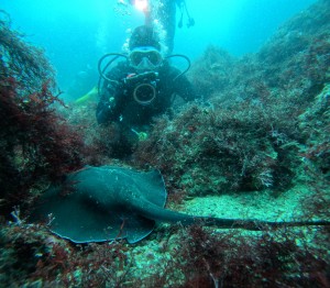DCIM100GOPROGOPR8866.JPG