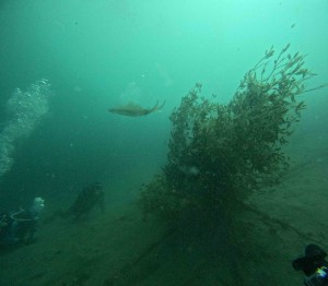 DCIM100GOPROGOPR8883.JPG