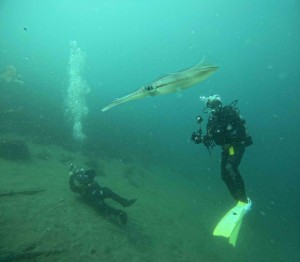 DCIM100GOPROGOPR8907.JPG