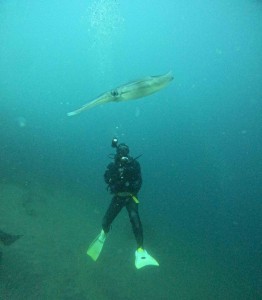 DCIM100GOPROGOPR8908.JPG