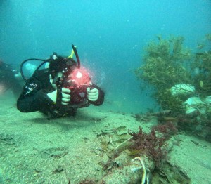 DCIM100GOPROGOPR8921.JPG