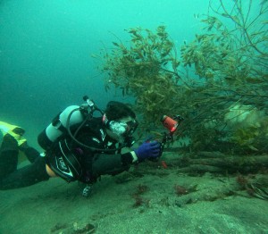 DCIM100GOPROGOPR8946.JPG