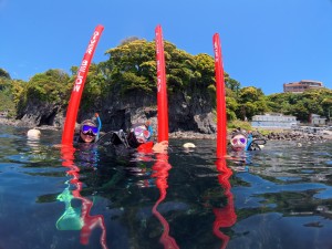 IMG_20260505_105718_262.jpg