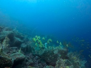 IMG_20260508_100522_016