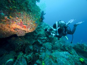 IMG_20260508_101522_021