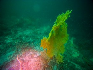 IMG_20260510_091619_008