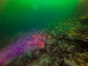 IMG_20260510_113218_013
