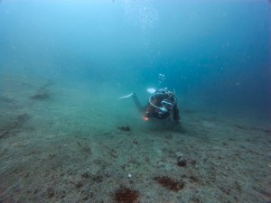 IMG_20260511_091318_028