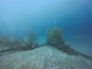 IMG_20260511_110218_039