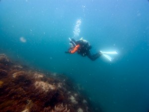 IMG_20260511_112716_043