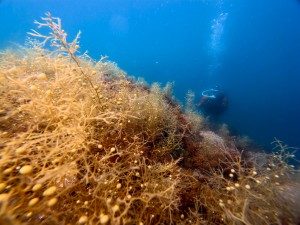 IMG_20260511_112737_045