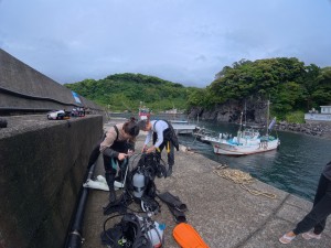 IMG_20260522_093133_001.jpg