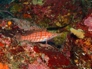 P5020010