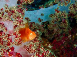 P5030067