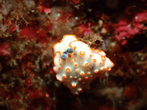 P5060138
