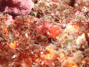 P5060164