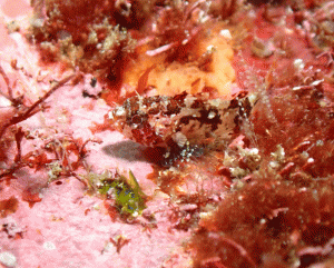 P5060173