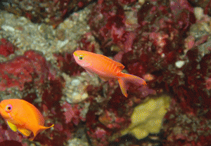 P5060188