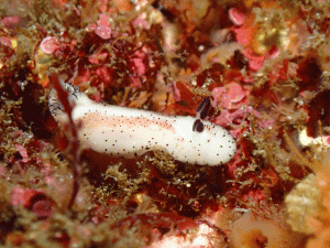 P5060208