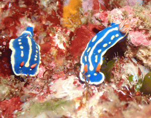 P5060214