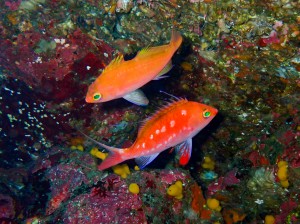 P5080010