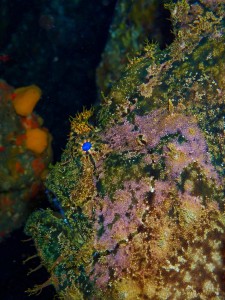 P5080030