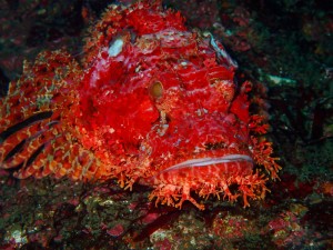 P5080036
