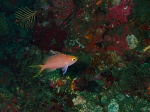 P5080091