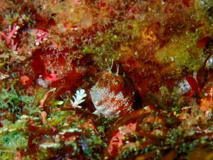 P5080130