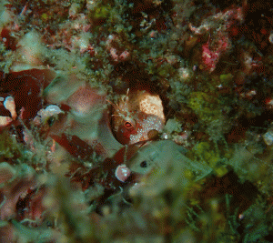 P5130060