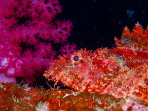 P5220022