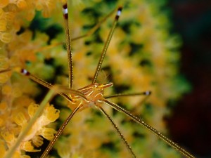 line_oa_chat_260516_192147
