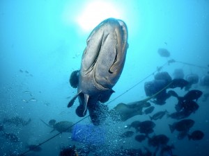 line_oa_chat_260518_134429