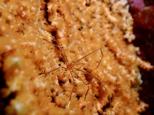 line_oa_chat_260524_192057