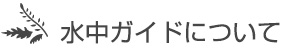 水中ガイドにつきまして