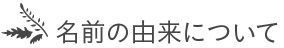 名前の由来について