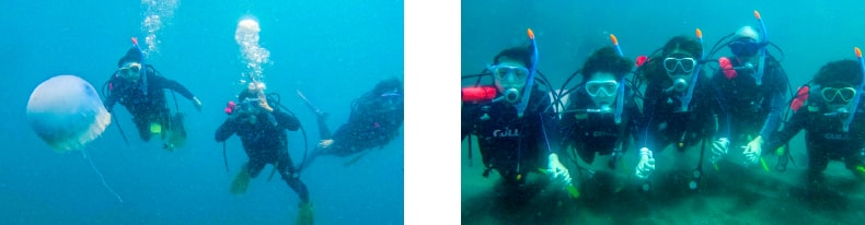 PADIオープンウォーターダイバーコース 海洋実習(2ダイブ)＋ライセンス申請の写真