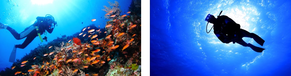 伊豆の海を楽しみながらライセンス講習をしている写真