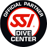 SSI