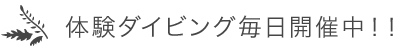 体験ダイビング毎日開催中！！