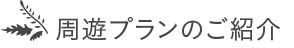 周遊プランのご紹介